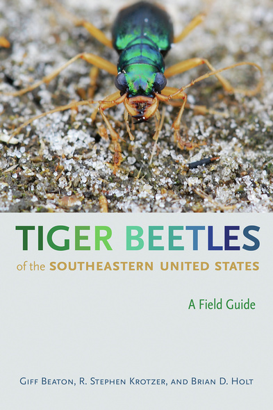 Tiger Beetles of the Southeastern United States