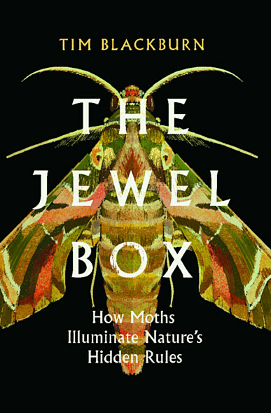 The Jewel Box