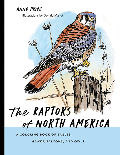 The Raptors of North America