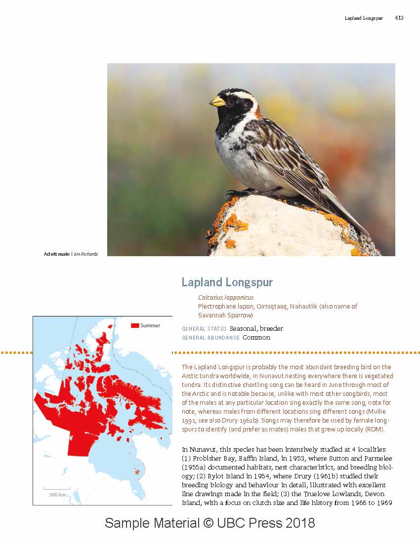 UBC - Special Projects - Birds of Nunavut Promo Page - BON_ExampleForWeb.jpg