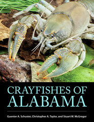 Crayfishes of Alabama