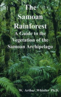 The Samoan Rainforest