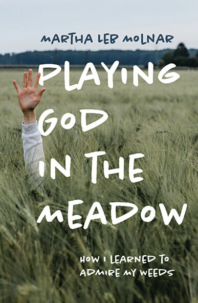 Playing God in the Meadow