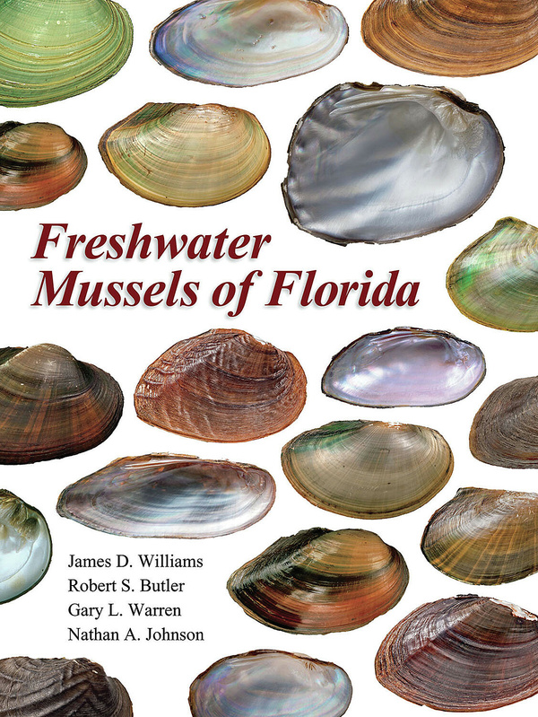Freshwater clam 