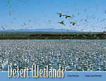 Desert Wetlands