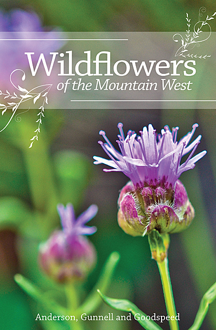 Wildflowers of the Mountain West