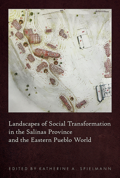 Landscapes of Social Transformation in the Salinas Province and the Eastern Pueblo World