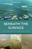 Beneath the Surface