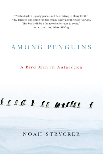 Among Penguins