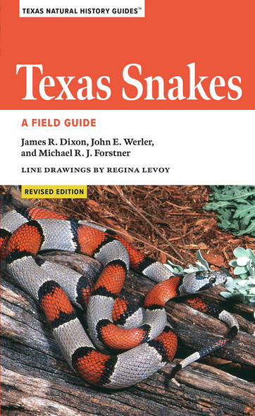 Gray Ratsnake – Florida Snake ID Guide