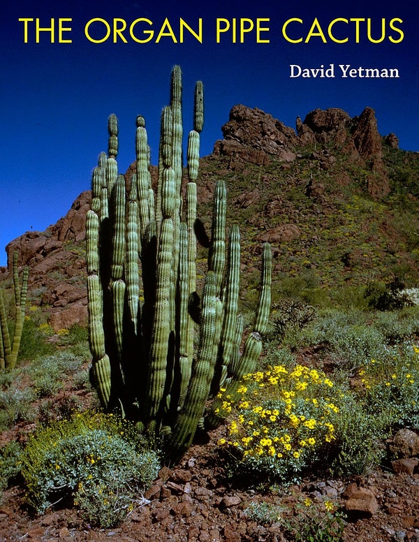 The Organ Pipe Cactus