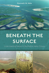 Beneath the Surface