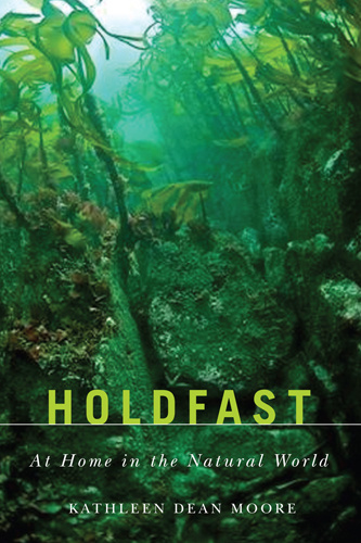 Holdfast