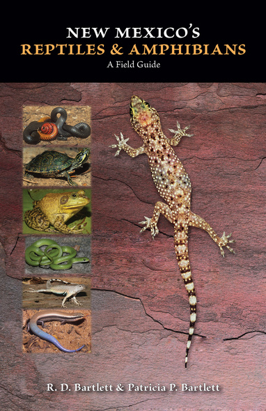 New Mexico&#039;s Reptiles and Amphibians