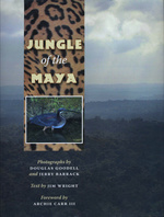 Jungle of the Maya