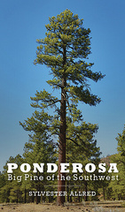 Ponderosa