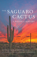 The Saguaro Cactus