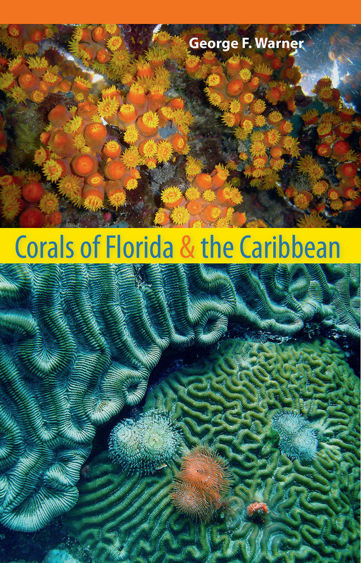 Corals of Florida and the Caribbean