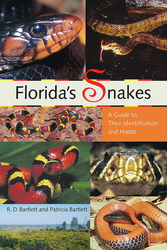 Florida&#039;s Snakes