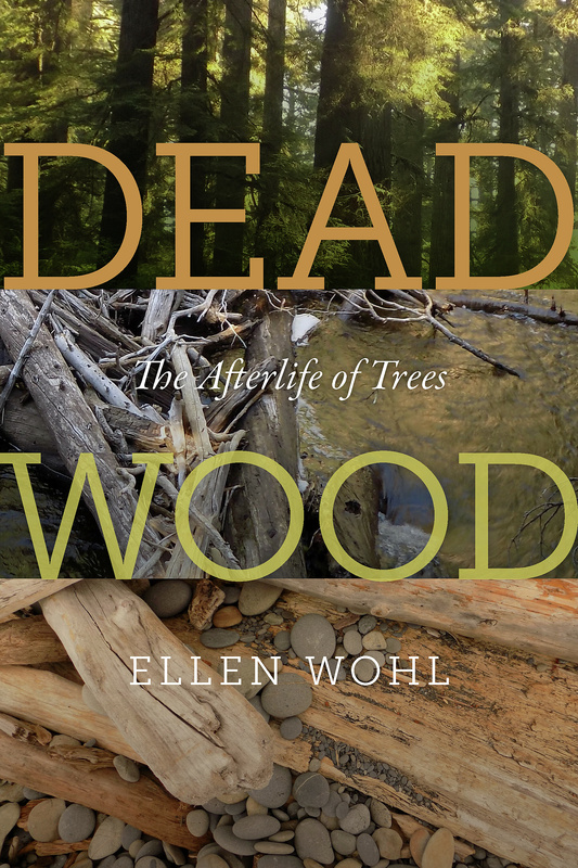 Dead Wood