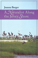 A Naturalist Along the Jersey Shore