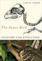 The Inner Bird