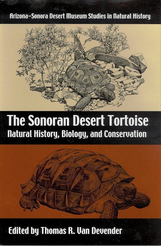 The Sonoran Desert Tortoise