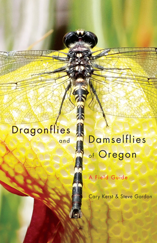 Dragonflies and Damselflies of Oregon