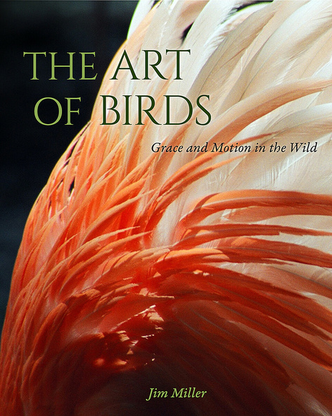 The Art of Birds