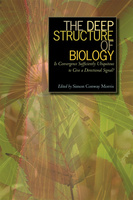 The Deep Structure of Biology