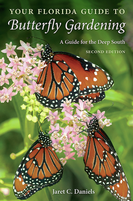 Your Florida Guide to Butterfly Gardening