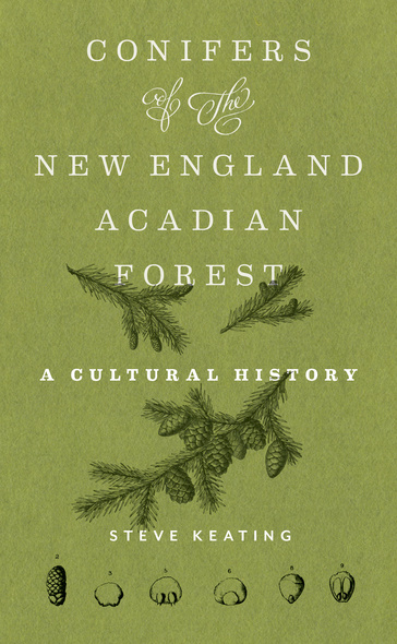 Conifers of the New England–Acadian Forest