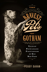 The Bravest Pets of Gotham