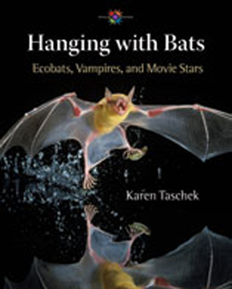 Hanging with Bats