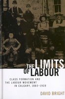 The Limits of Labour