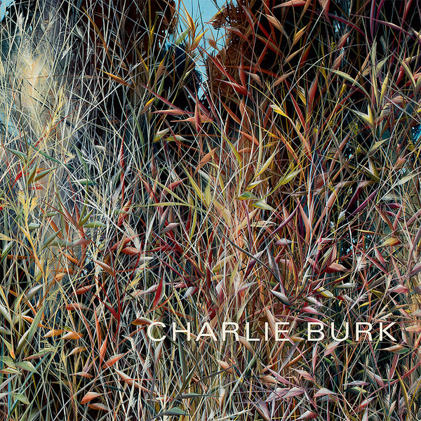 Charlie Burk