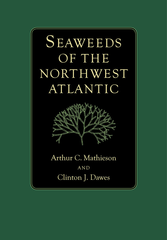 Seaweeds of the Northwest Atlantic